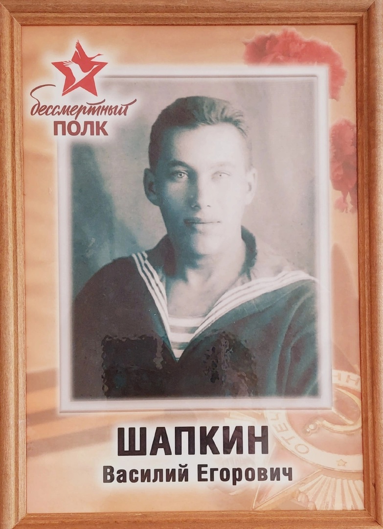 Шапкин Василий Егорович